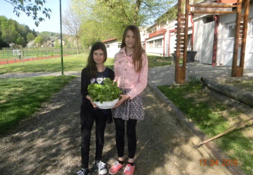DSCN7558 (1482 visits) DSCN7558