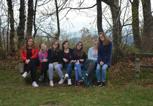 DSC 005 (944 visits) DSC 005
