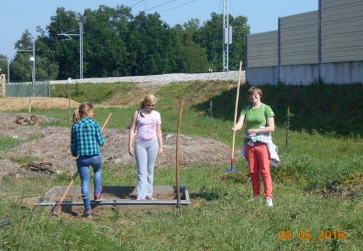 DSCN2867 (1382 visits) DSCN2867