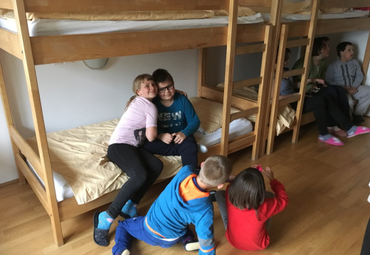 IMG 1336 (877 visits) IMG 1336