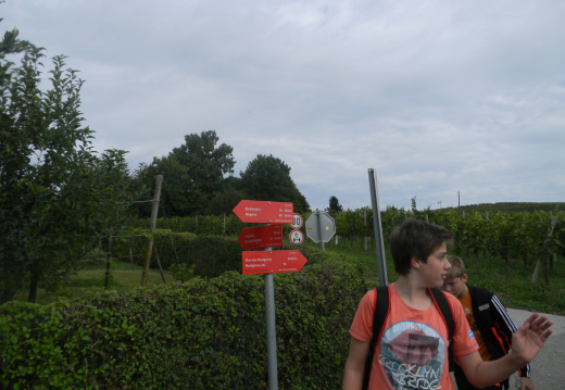 DSCN0099 (1196 visits) DSCN0099
