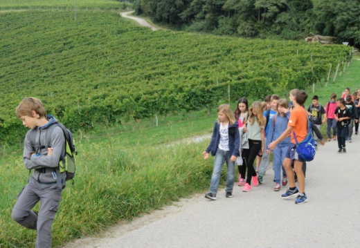 IMG 0078 (1155 visits) IMG 0078