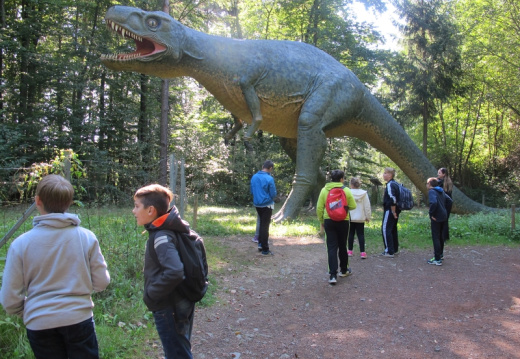 Image0034