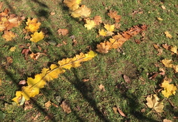 IMG 0285.JPG (294 visits) IMG 0285.JPG