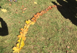 IMG 0287.JPG (279 visits) IMG 0287.JPG
