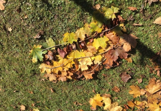 IMG 0286.JPG (1345 visits) IMG 0286.JPG