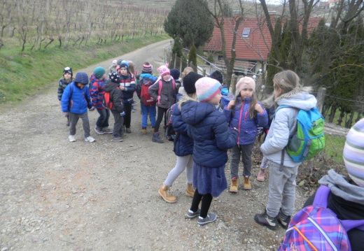 DSCN0239 (1541 visits) DSCN0239