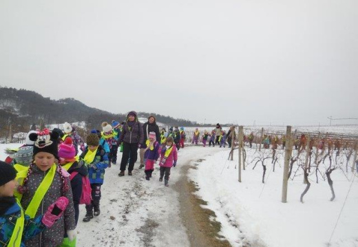slika017 (2761 visits) slika017