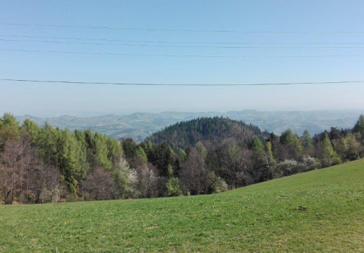 IMG 20170410 101710