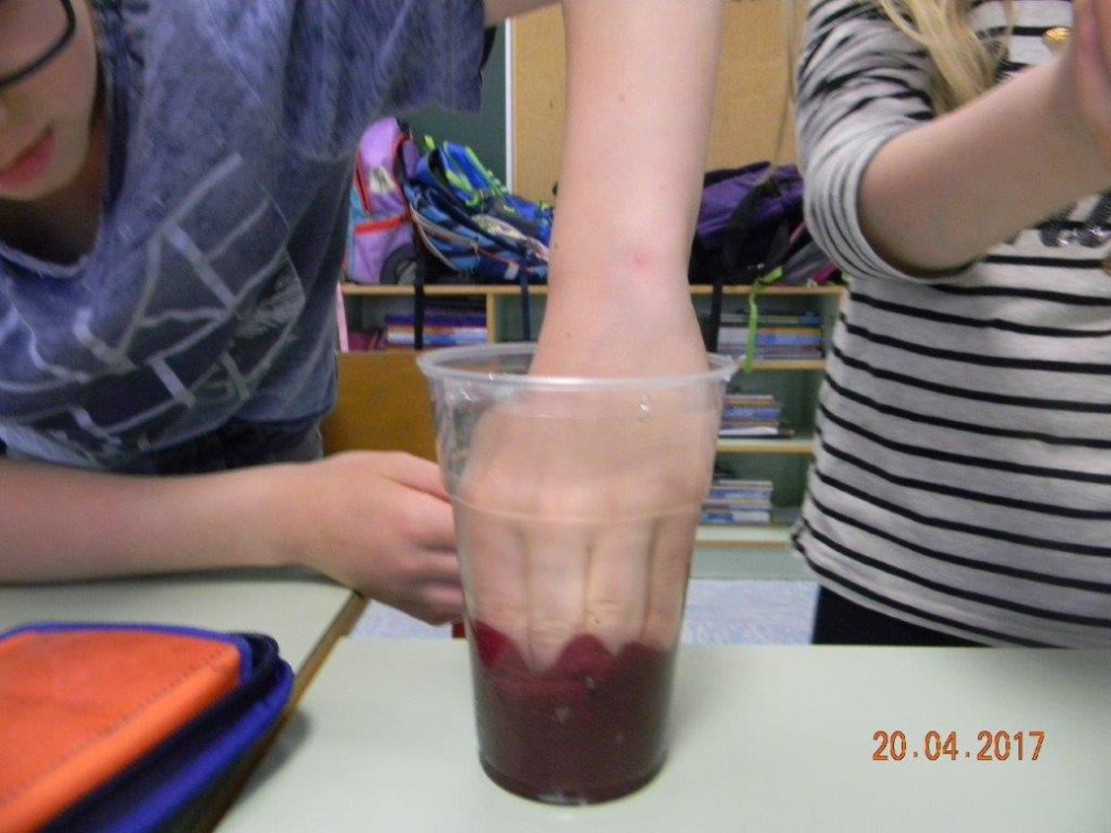 DSCN8791 (1384 visits) DSCN8791