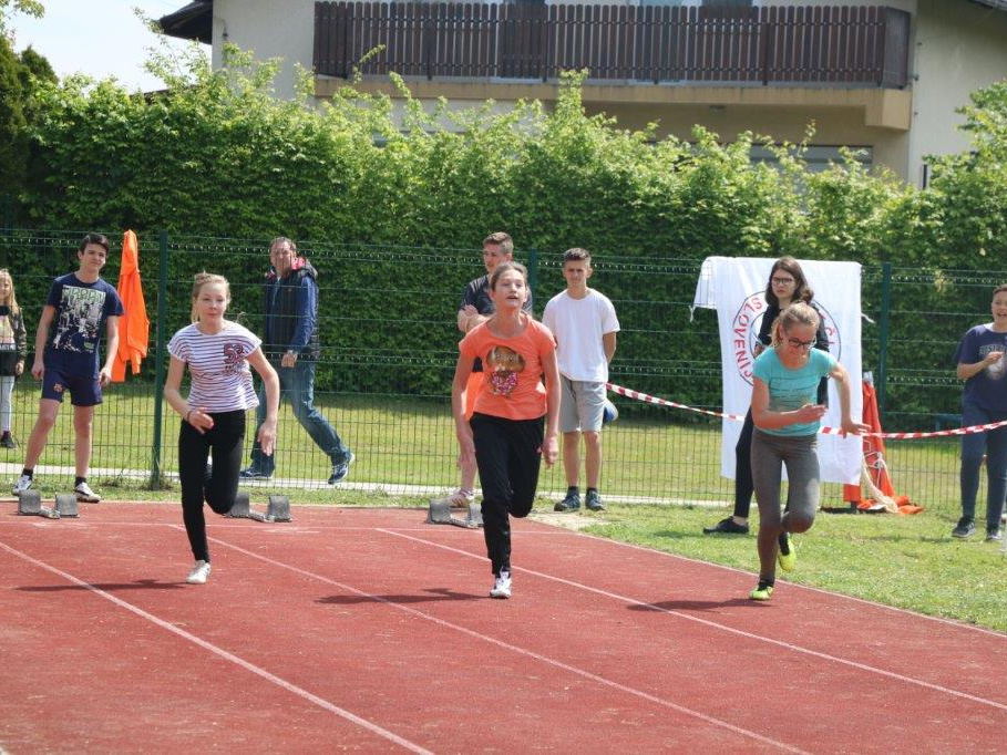 IMG 1871 (2422 visits) IMG 1871
