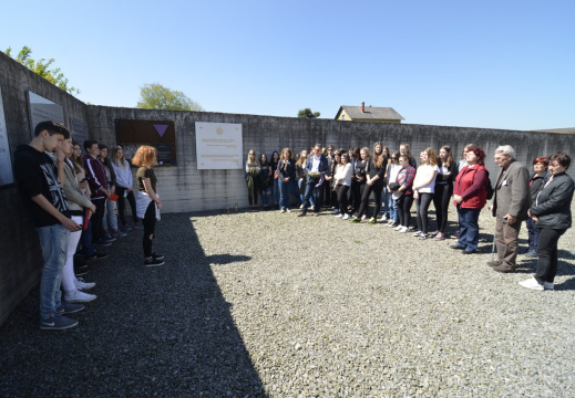DSC2194 (1589 visits) DSC2194