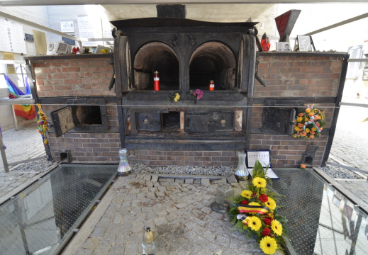 DSC2224 (1138 visits) DSC2224