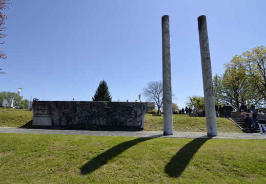 DSC2250 (1071 visits) DSC2250