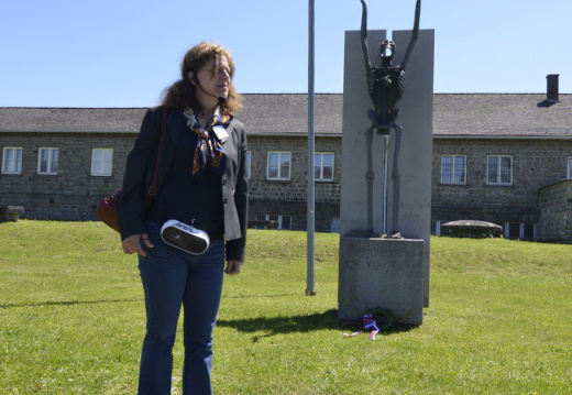 DSC2253 (1095 visits) DSC2253