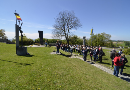 DSC2255 (1077 visits) DSC2255