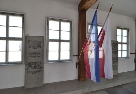 DSC2280 (878 visits) DSC2280
