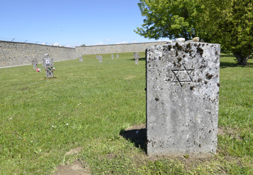 DSC2285 (871 visits) DSC2285