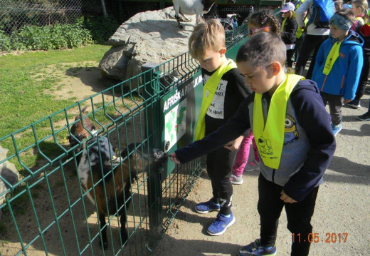 DSCN8798 (1206 visits) DSCN8798