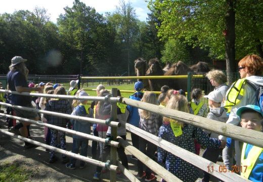 DSCN8806 (905 visits) DSCN8806