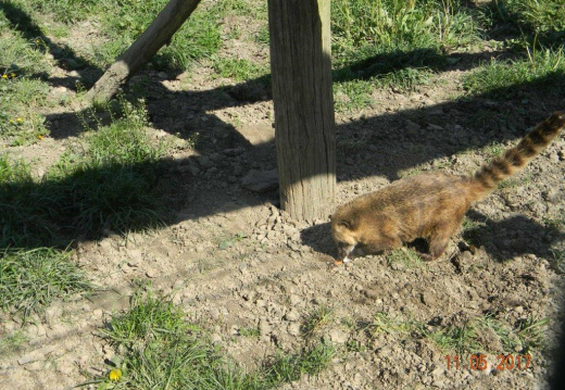 DSCN8817 (920 visits) DSCN8817