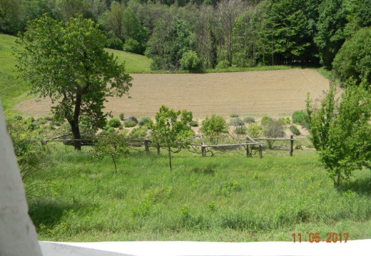 DSCN8832 (895 visits) DSCN8832