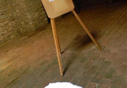 DSCN8849