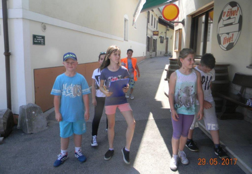 DSCN9036 (1784 visits) DSCN9036