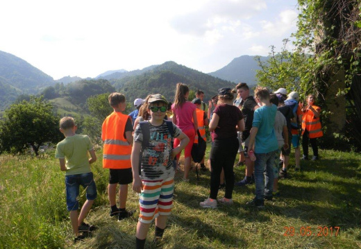 DSCN9040 (1763 visits) DSCN9040