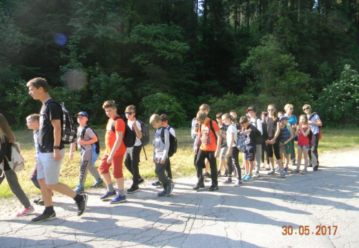 DSCN9052 (1382 visits) DSCN9052