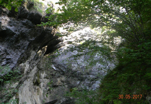 DSCN9060 (896 visits) DSCN9060