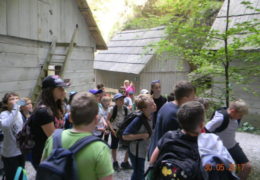 DSCN9067 (754 visits) DSCN9067