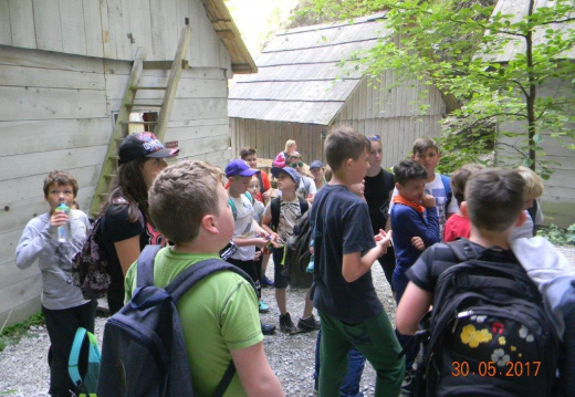 DSCN9066 (971 visits) DSCN9066