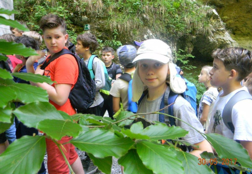 DSCN9071 (920 visits) DSCN9071