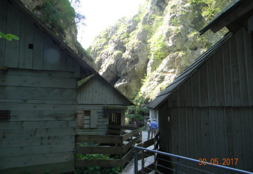 DSCN9076 (1003 visits) DSCN9076