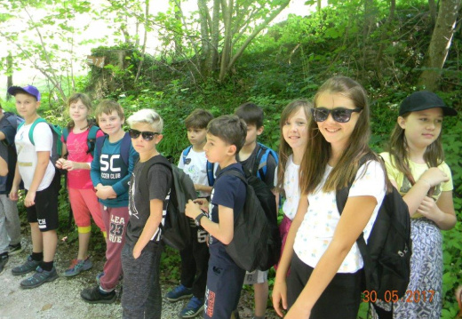 DSCN9091 (834 visits) DSCN9091