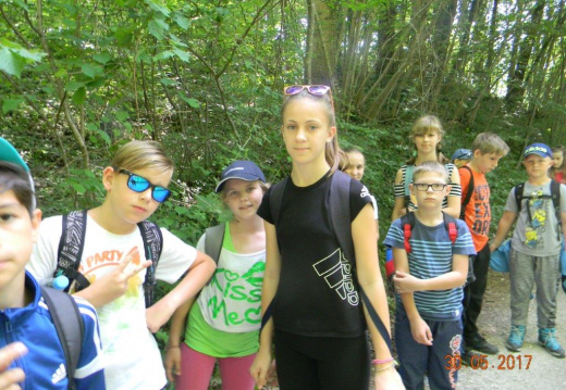 DSCN9088 (902 visits) DSCN9088