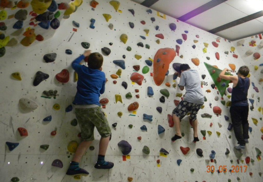 DSCN9108 (622 visits) DSCN9108