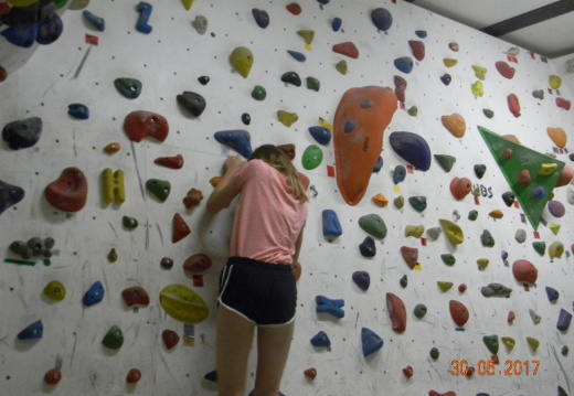 DSCN9107 (561 visits) DSCN9107
