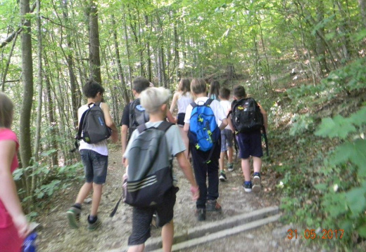 DSCN9237 (1688 visits) DSCN9237