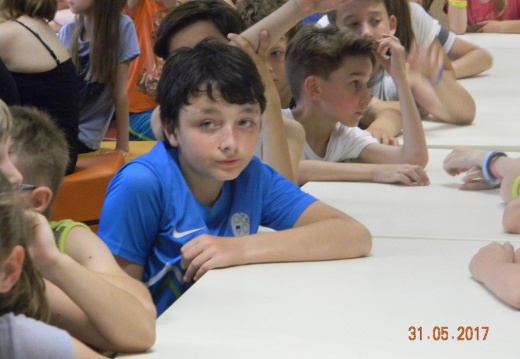 DSCN9258 (1762 visits) DSCN9258