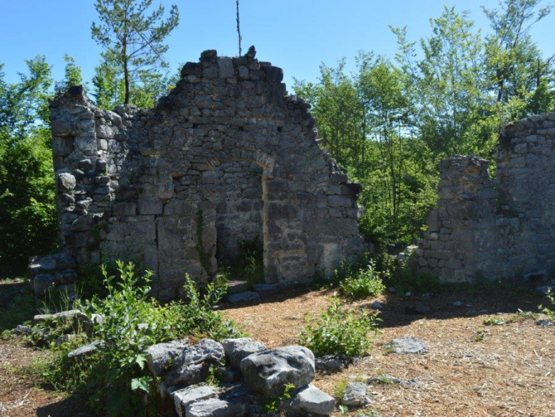 DSC 0509
