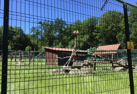 IMG 0372 (748 visits) IMG 0372