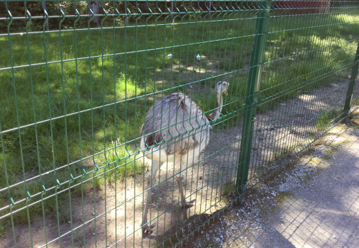 IMG 0373 (748 visits) IMG 0373