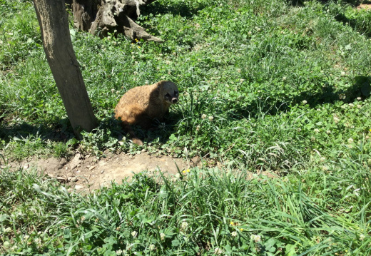 IMG 0376 (754 visits) IMG 0376