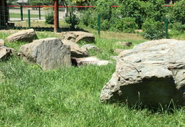 IMG 0392 (122 visits) IMG 0392