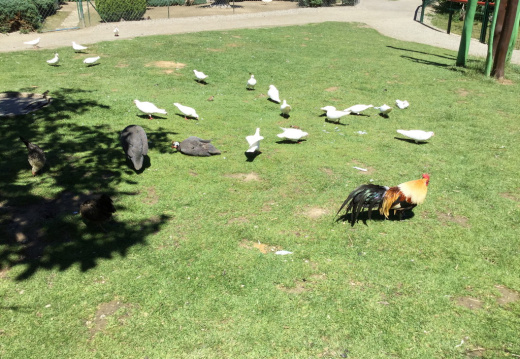 IMG 0425 (752 visits) IMG 0425