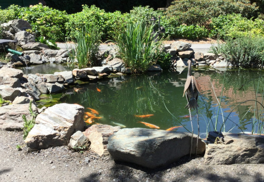 IMG 0448 (562 visits) IMG 0448