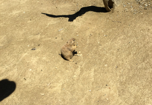 IMG 0470 (586 visits) IMG 0470