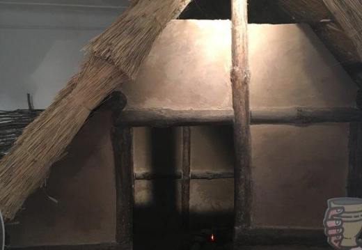 IMG 4036 (1290 visits) IMG 4036